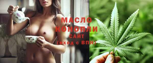 тгк Богородицк