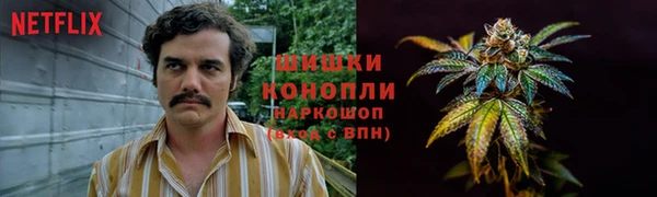 тгк Богородицк
