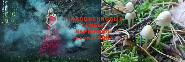 тгк Богородицк