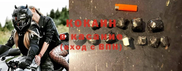 твердый Богородск