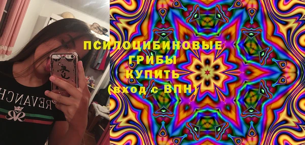 твердый Богородск