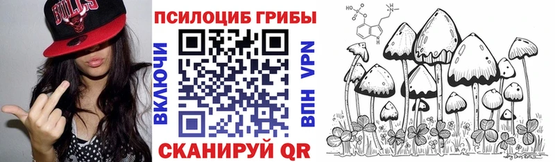 Купить где  Катав-Ивановск  Галлюциногенные грибы GOLDEN TEACHER 
